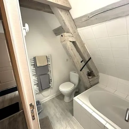 Champenoise 4, - France Apartment *