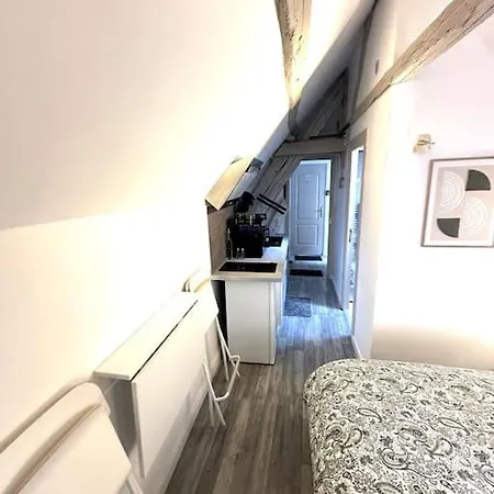 Champenoise 4, - France Apartment *