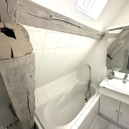 Apartament Champenoise 4, - France Troyes